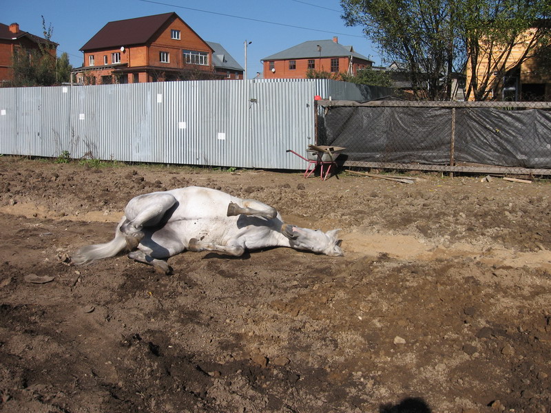 IMG_1289.jpg1.jpg"%20height="600"%20width="800